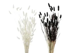 Boltze Kunstpflanzen|Vasen^Deko-Zweig 2-fach Sortiert Weiß-Schwarz