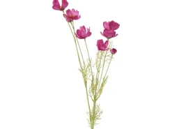 Boltze Geschenkartikel^Stielblume Cosmea 91 cm x 25 cm x 10 cm Rosa-Grün