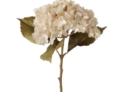 Boltze Stielblume Hortensie 52 cm x 25 cm x 9 cm Natur