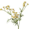 Boltze Stielblume Kamille 3 cm x 10 cm x 48 cm Grün