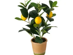 Boltze Topfpflanze Zitrone 32 cm x ø 22 cm Grün-Gelb