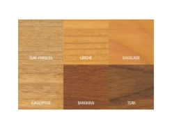 BONDEX Douglasien-Öl Holzschutz für außen matt 750 ml