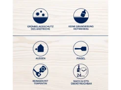 BONDEX Holzfarben^Holzlasur für Außen seidenglänzend 4,8 l