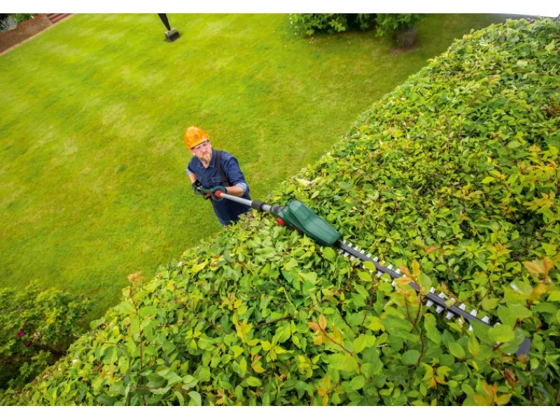 Bosch Leitern^Akku-Teleskop-Heckenschere UniversalHedgePole 18 Solo