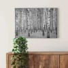 Bricoflor Wanddekoration^Birkenwald Bild Auf Leinwand In Schwarz Weiß Wandbild Mit Wald Motiv Ideal Für Schlafzimmer Und Flur Glattes Leinwandbild Auf Keilrahmen