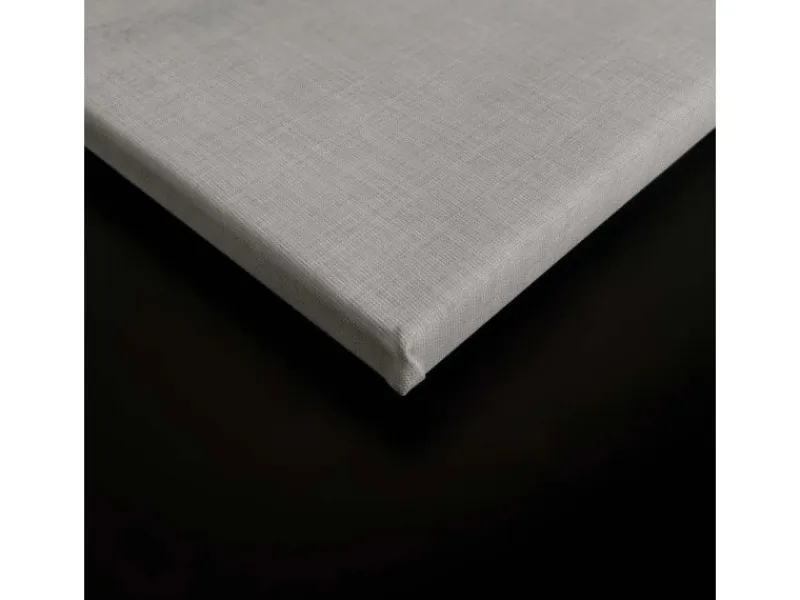 Bricoflor Fischschwarm Wanddeko Leinwandbild In Grau Für Küche Und Badezimmer Maritimes Wandbild Mit Fischen In 120 X 80 Cm Modern