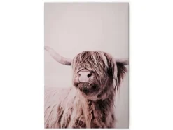 Bricoflor Wanddekoration^Hochlandrind Leinwandbild Deko Wandbild Mit Tier Weiß Beige Für Esszimmer Und Küche 80 X 120 Cm Ochsen Bild Landhausstil