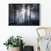 Bricoflor Leinwand Bild Mit Wald In Schwarz Weiß Wandbild Mit Tannenwald In Nebel Schlafzimmer Leinwandbild Mit Wald Und Sonnenstrahlen