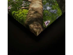 Bricoflor Leinwandbild Wald 120X80 Cm Natur Wandbild Grün Für Wohnzimmer Und Schlafzimmer Deko Leinwand Mit Baumkronen