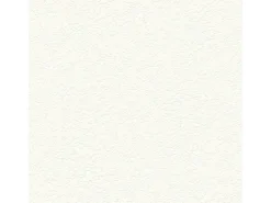 Bricoflor Überstreichbare Tapeten^Putzstruktur Tapete Weiß Uni Vliestapete Vinyl Struktur in Putzoptik für Flur und Diele Weiße Vlies Strukturtapete Schlicht überstreichbar