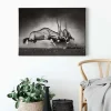 Bricoflor Schwarz Weiß Tierbild Oryx Antilope Bild Ideal Für Wohnzimmer Und Büro Modernes Leinwandbild Mit Tierfotografie Auf Keilrahmen