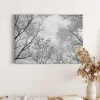 Bricoflor Schwarz Weiß Wald Bild Auf Leinwand Baumkrone Bild Mit Himmel Für Schlafzimmer Und Flur Wandbild Mit Bäumen Auf Keilrahmen