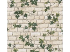 Bricoflor Bastelzubehör^Steinwand Tapete mit Efeu Vintage Mauertapete in Creme und Grün ausgefallene Papiertapete in Steinoptik für Wohnzimmer