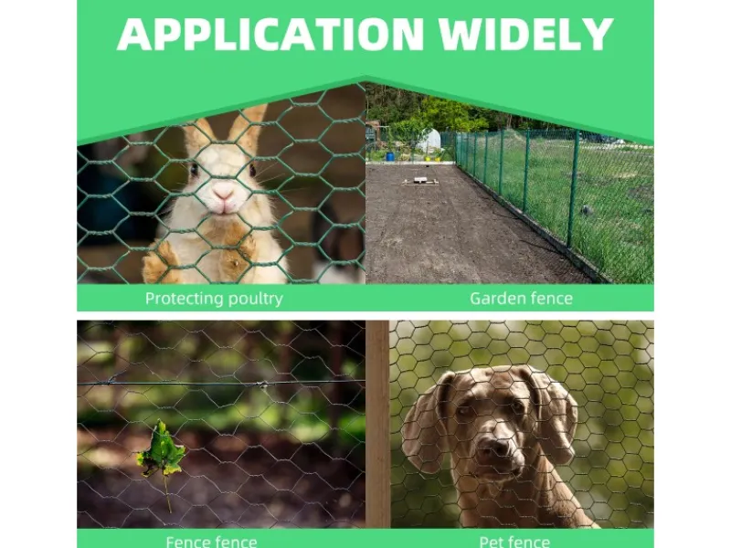 CCLIFE Hühnerzaun Geflügelnetz 25mm Maschenweite 100cm Höhe 25m Länge PVC-Beschichtet