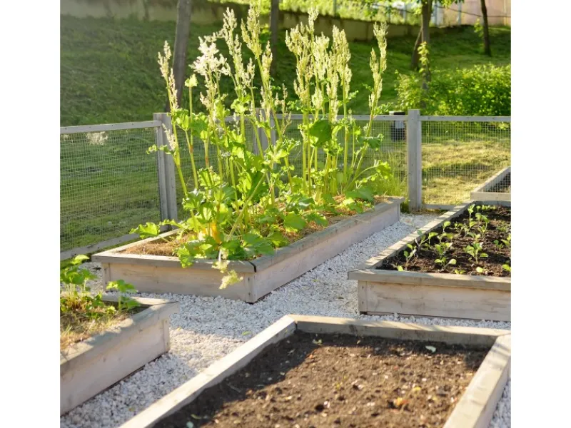 CCLIFE Hühnerzaun Geflügelnetz 6.3mm Maschenweite 50cm Höhe 5m Länge Verzinkt Silber