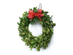 Vitrinen^Command Haken-Set Mittelgroß Transparent 6 Stück