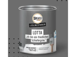 CREATE! by OBI Lieblingsfarben Buntlack Lotta seidenmatt 750ml