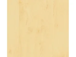 d-c-fix Klebefolie Birke 45 cm x 200 cm