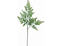 Deko Farnzweig 66 cm Grün