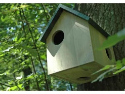 Dobar Eichhörnchenkobel mit 3 Eingängen Kiefer Grün 25 cm x 26 cm x 28,5 cm