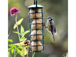 Dobar Vogelbedarf^Futterspender mit 4 Meisenknödeln für Wildvögel 7 cm x 7 cm x 20 cm Grün