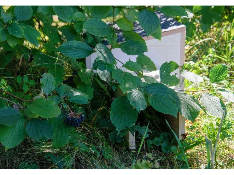 Dobar Kleintierbedarf^Igelhaus Bausatz 74,5 x 29 x 24 cm Schwarz FSC®