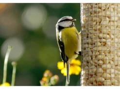 Dobar Vogelbedarf^Metallgitter-Futtersäule für Vögel 9,5 cm x 9,5 cm x 39 cm Silber