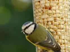 Dobar Vogelbedarf^Metallgitter-Futtersäule für Vögel 9,5 cm x 9,5 cm x 39 cm Silber