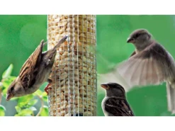 Dobar Vogelbedarf^Metallgitter-Futtersäule für Vögel 9,5 cm x 9,5 cm x 39 cm Silber