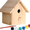 Dobar Vogelbedarf^Nistkasten zum Bemalen 17,5 cm x 15,5 cm x 20,5 cm