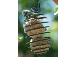 Dobar Vogelfutterfeder