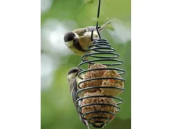 Dobar Vogelfutterfeder