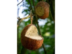 Dobar Vogelbedarf^Vogelfutter-Mix 4 x gefüllte Kokosnuss und 2 x Riesenzapfen mit Fettfutter