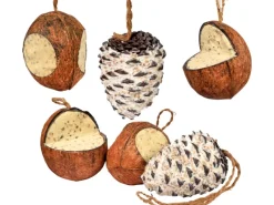 Dobar Vogelbedarf^Vogelfutter-Mix 4 x gefüllte Kokosnuss und 2 x Riesenzapfen mit Fettfutter