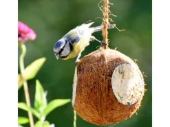 Dobar Vogelbedarf^Vogelfutter-Mix 4 x gefüllte Kokosnuss und 2 x Riesenzapfen mit Fettfutter