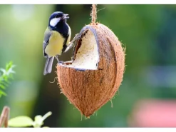 Dobar Vogelbedarf^Vogelfutter-Mix 4 x gefüllte Kokosnuss und 2 x Riesenzapfen mit Fettfutter