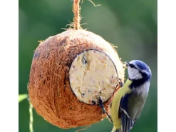 Dobar Vogelbedarf^Vogelfutter-Mix 4 x gefüllte Kokosnuss und 2 x Riesenzapfen mit Fettfutter
