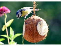 Dobar Vogelbedarf^Vogelfutter-Mix 4 x gefüllte Kokosnuss und 2 x Riesenzapfen mit Fettfutter