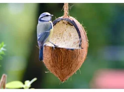 Dobar Vogelbedarf^Vogelfutter-Mix 4 x gefüllte Kokosnuss und 2 x Riesenzapfen mit Fettfutter