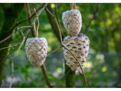 Dobar Vogelbedarf^Vogelfutter-Mix 4 x Riesenzapfen, 4 x Meisenzapfen mit Fettfutter-Füllung