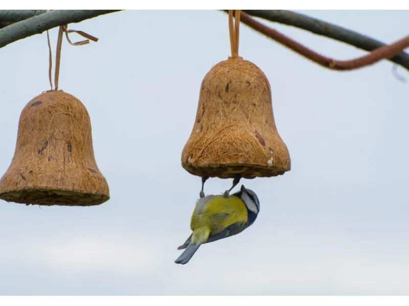 Dobar Vogelbedarf^Vogelfutter-Mix 8x gefüllte Futterglocken mit Fettfutter
