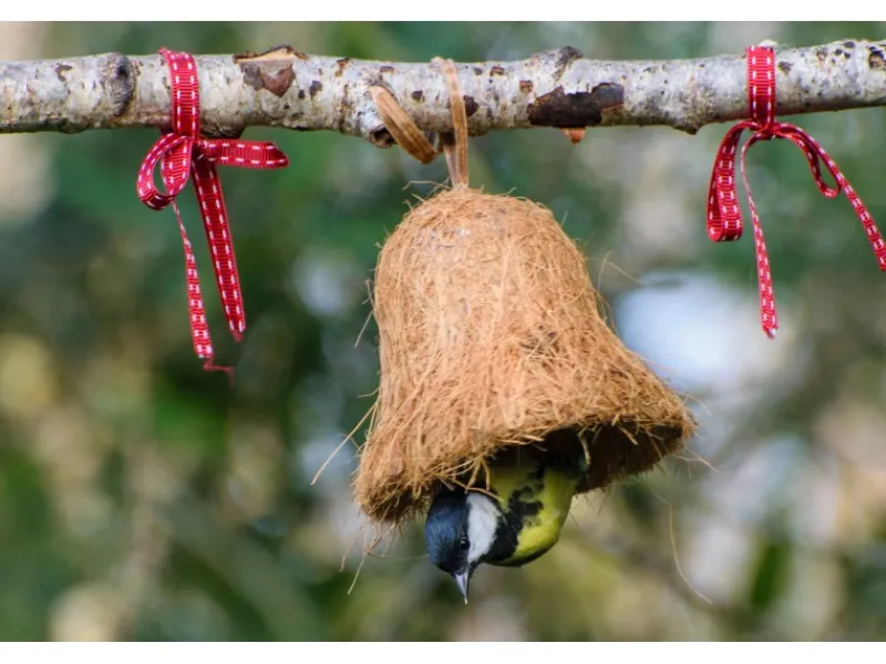 Dobar Vogelbedarf^Vogelfutter-Mix 8x gefüllte Futterglocken mit Fettfutter