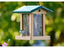 Dobar Vogelfutterstation mit Acrylglas-Futtersilo 22 cm x 25 cm x 28 cm Grün