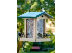 Dobar Vogelbedarf^Vogelfutterstation mit Acrylglas-Futtersilo 22 x 25 x 28 cm Grün FSC®