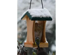 Dobar Vogelbedarf^Vogelfutterstation mit Acrylglas-Futtersilo 16 cm x 16 cm x 24 cm Grün