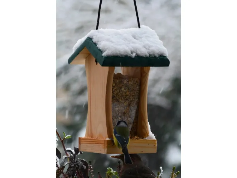 Dobar Vogelbedarf^Vogelfutterstation mit Acrylglas-Futtersilo 16 cm x 16 cm x 24 cm Grün