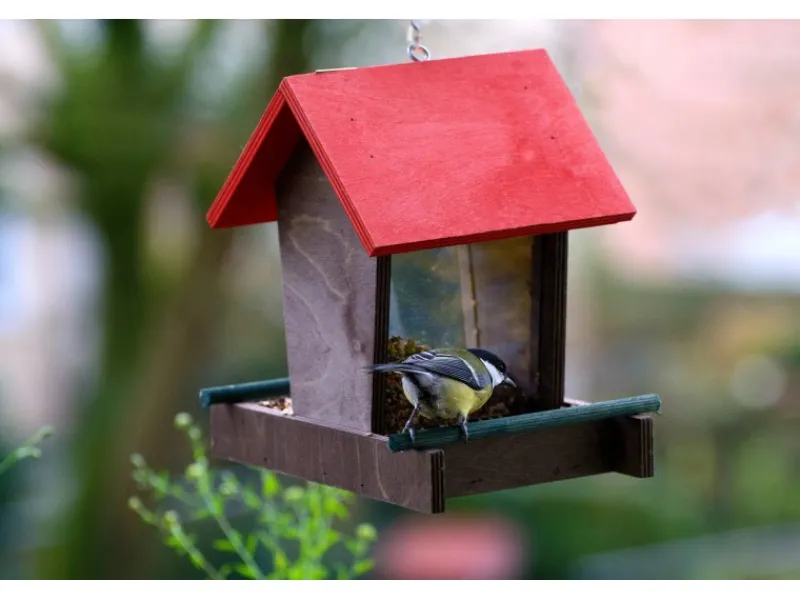 Dobar Vogelhaus mit Acrylglas-Futtersilo 16 cm x 21 cm x 20 cm Braun-Rot