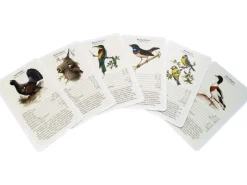 Dobar Vogelquartett Fliegende 9,3 cm x 13,4 cm x 3,5 cm Edelstein