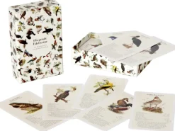 Dobar Vogelquartett Fliegende 9,3 cm x 13,4 cm x 3,5 cm Edelstein