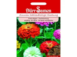 Dürr Samen Zinnien Dahlienblütige Prachtmischung Einjährig Saatgut